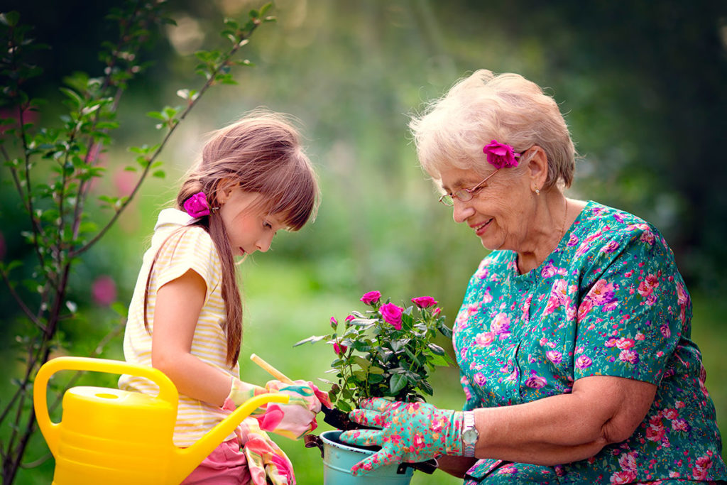 Grandmother and grandchild gardening together